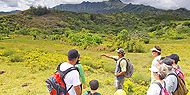 Princeville Activities