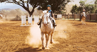 Horseback Riding Arena Lessons