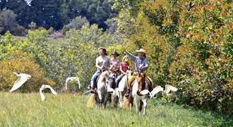 Horseback Riding at Princeville at Hanalei, Kauai