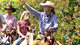 Horseback Riding at Princeville at Hanalei, Kauai