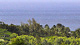 Horseback Riding at Princeville at Hanalei, Kauai