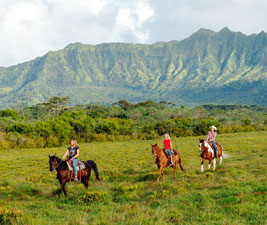 Unforgettable Adventure