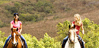 Kauai Horseback