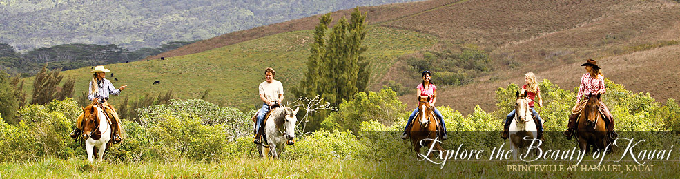 Kauai Horseback Riding