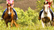 Waterfall Picnic Horseback Ride