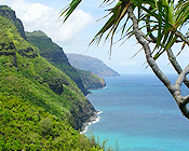 Kauai Real Estate