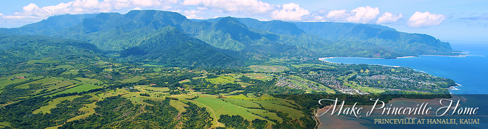 Kauai Real Estate