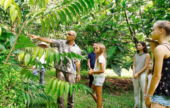 Kauai Activity - Farm & Food Experience