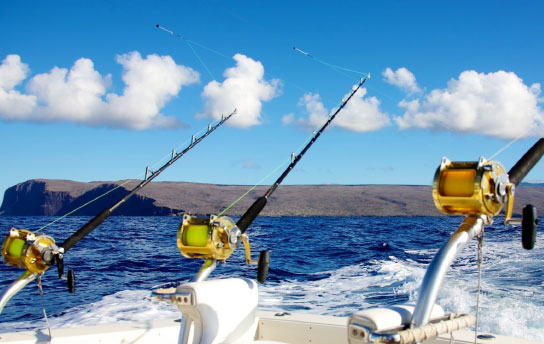 Kauai Activity - 3/4 Day Charter