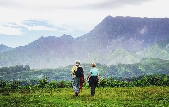 Kauai Activity - Kuilau Ridge Jungle Trail