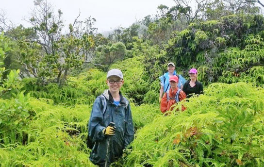 Kauai Activity - Ultimate Adventure