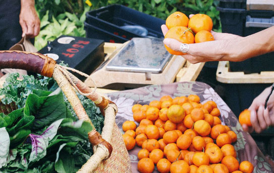 Kauai Activity - Downtown Lihu’e Walking Food Tour