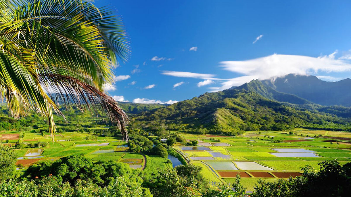 Hanalei Town