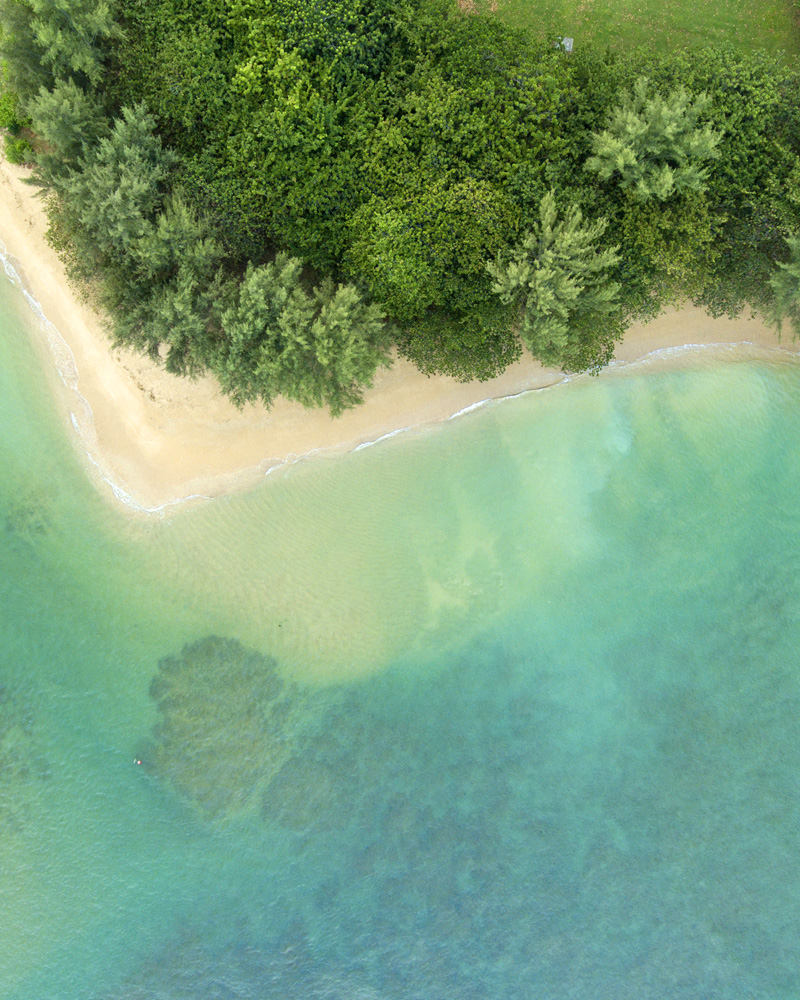 Princeville Community