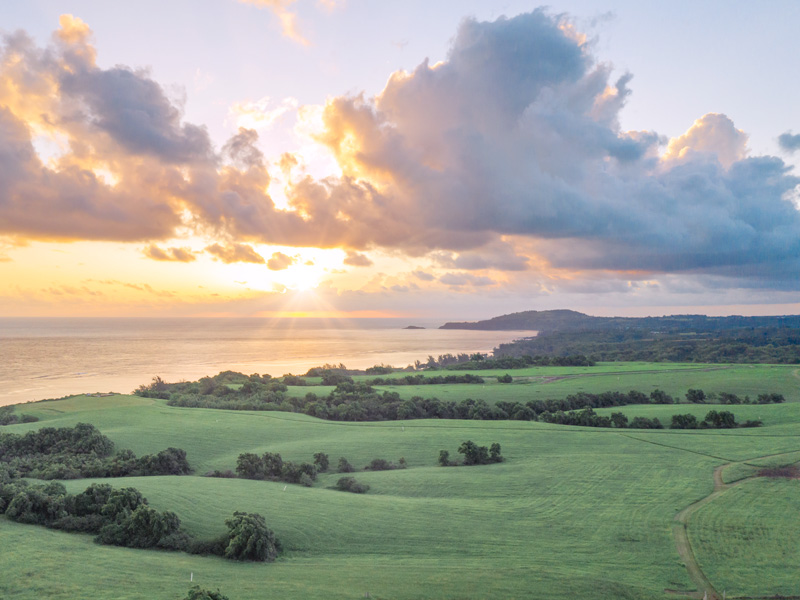 Make Princeville Home